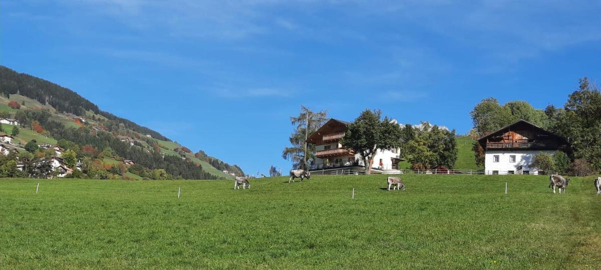 Baumannhof - Housity
