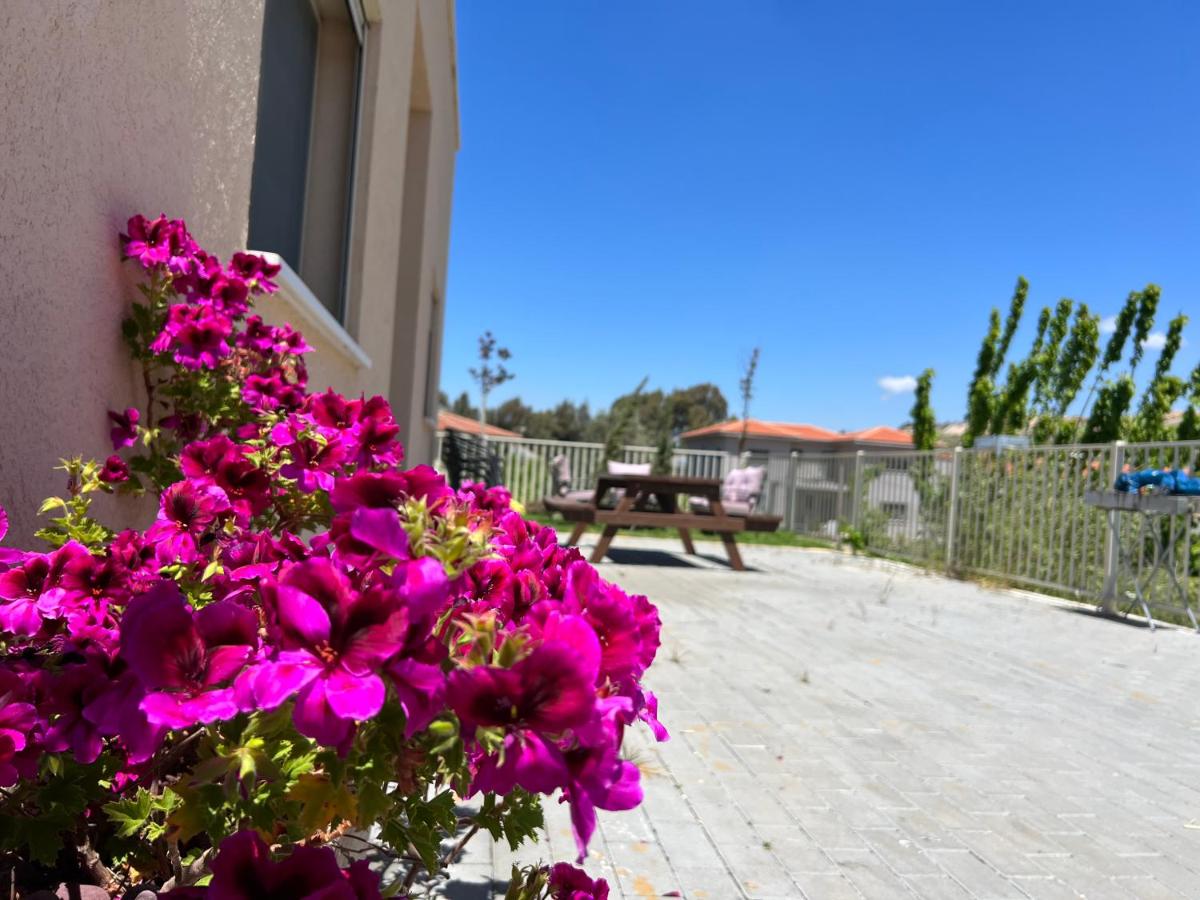Villa Sabag At Metulla - Housity
