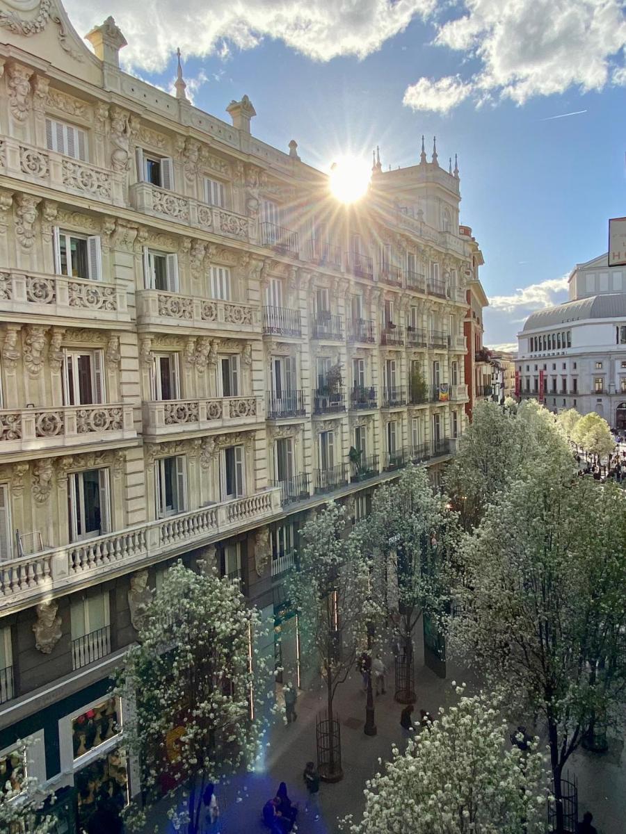 SabiaNatura - boutiqueMadrid - Housity