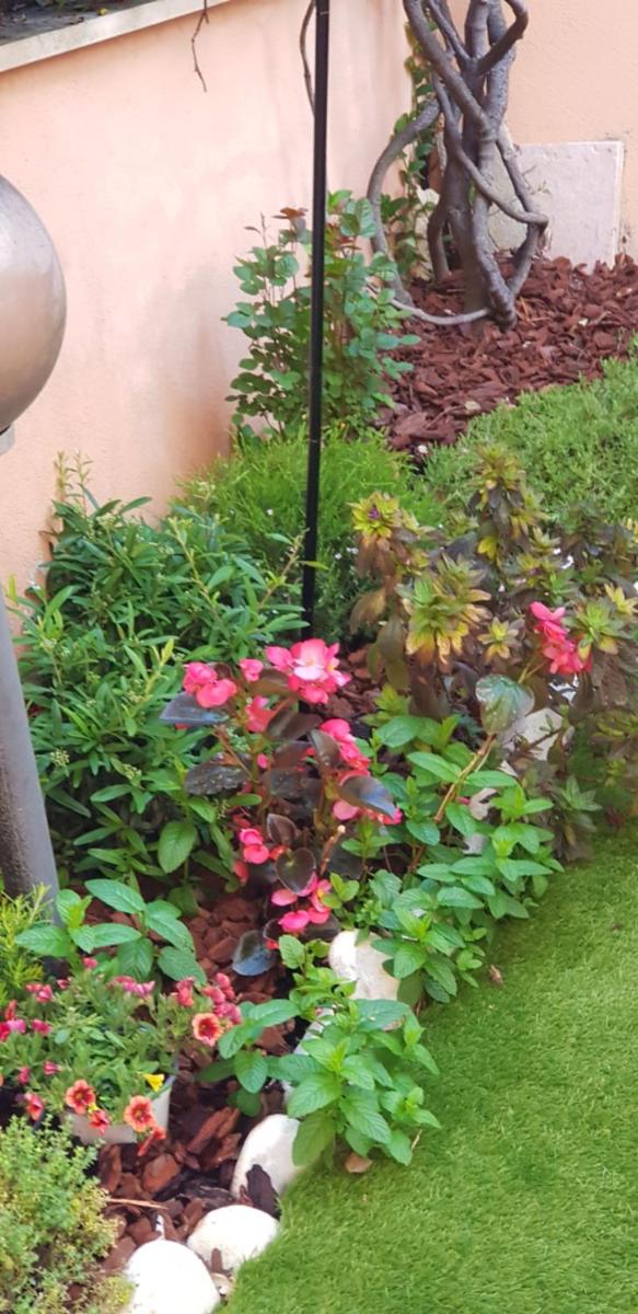 B&B Vista su Roma - Housity