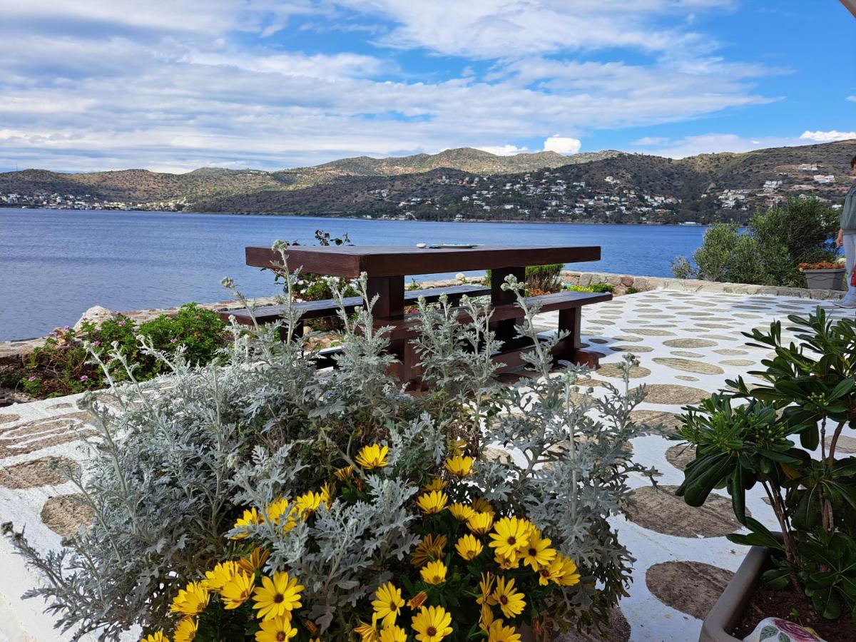Almyra seaside - Housity