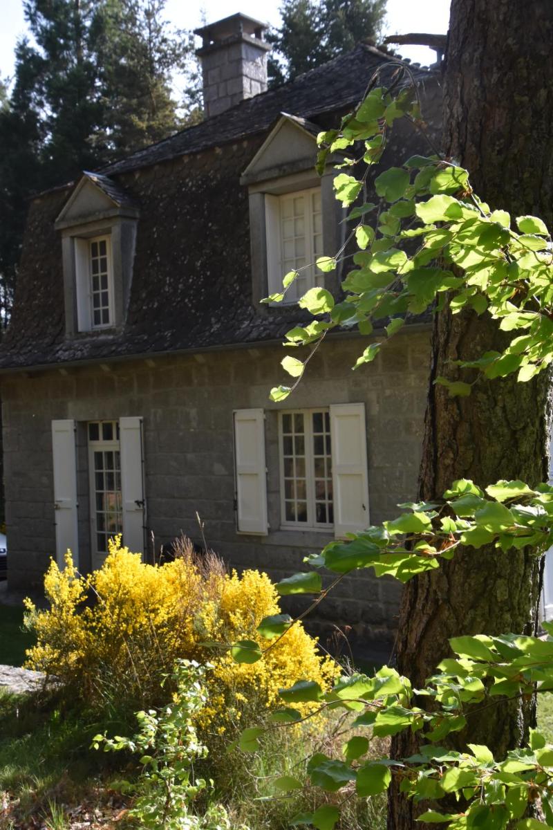 Au bord du lac - Housity