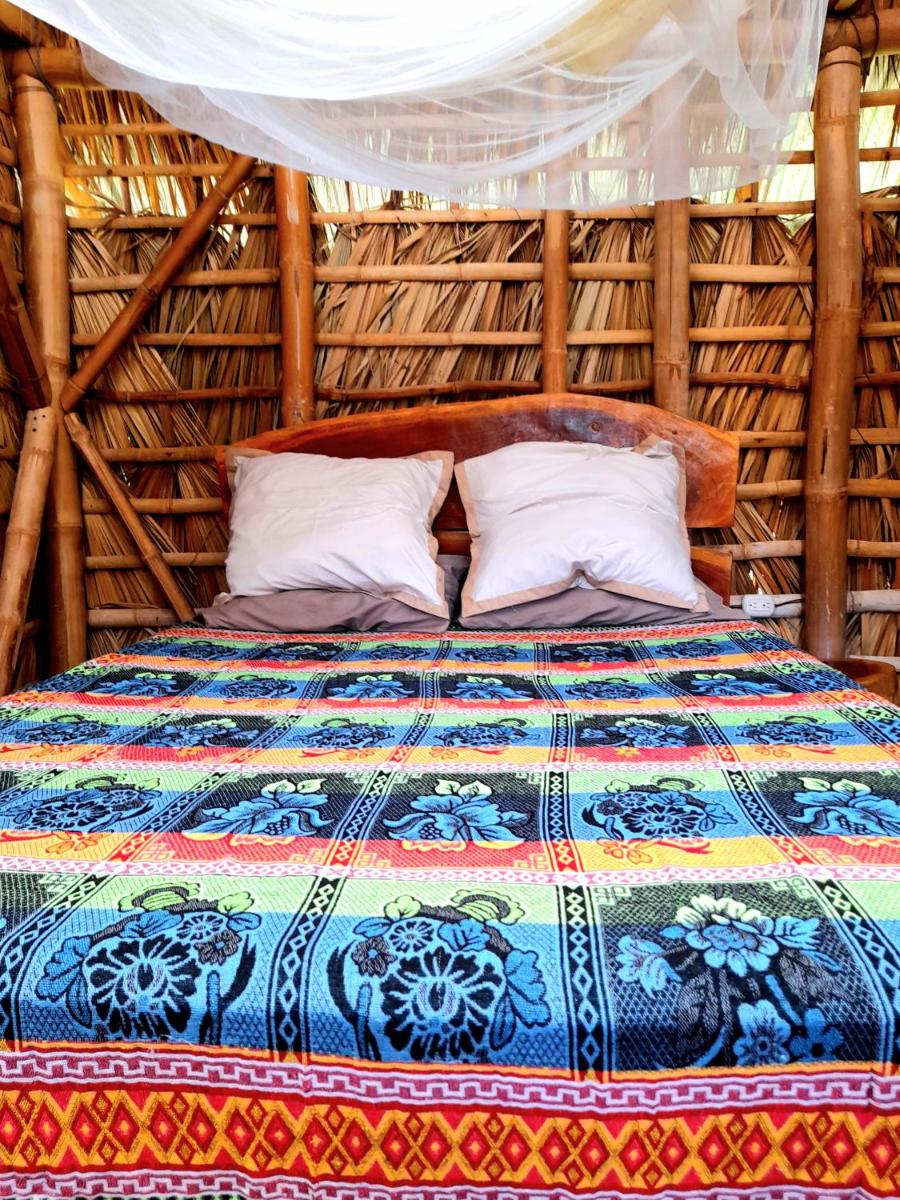 El Bamboo Cabins - Housity