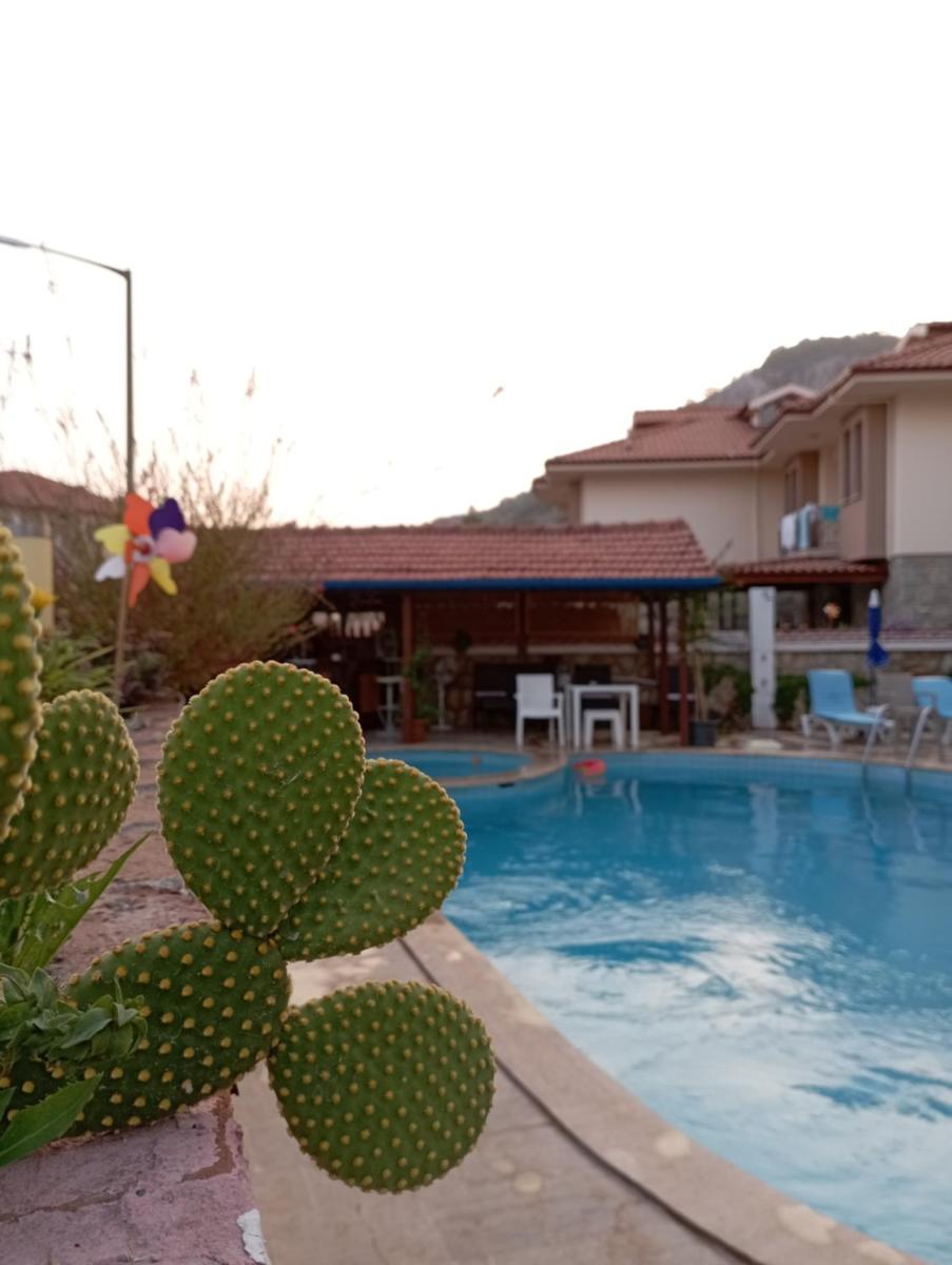 Kayalı apart hotel - Housity