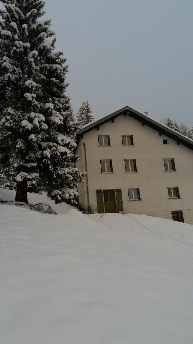 Gîte la fourmilière - Housity
