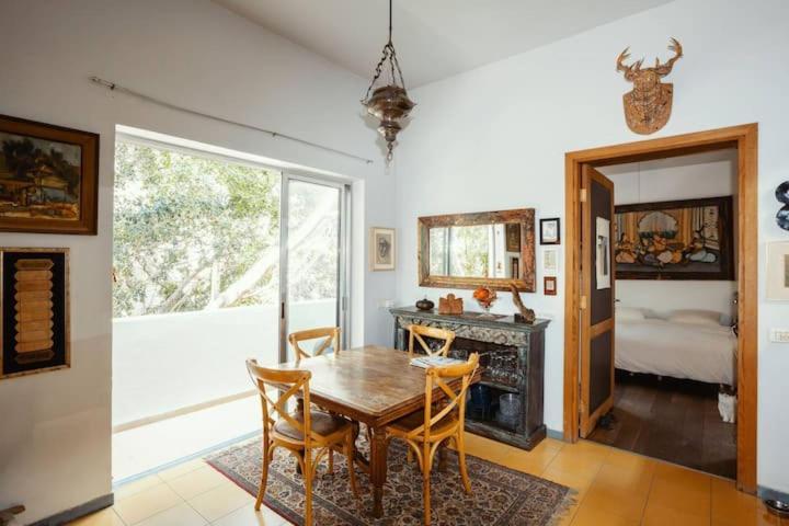 Frishman beach 2Br full of art and light - Housity