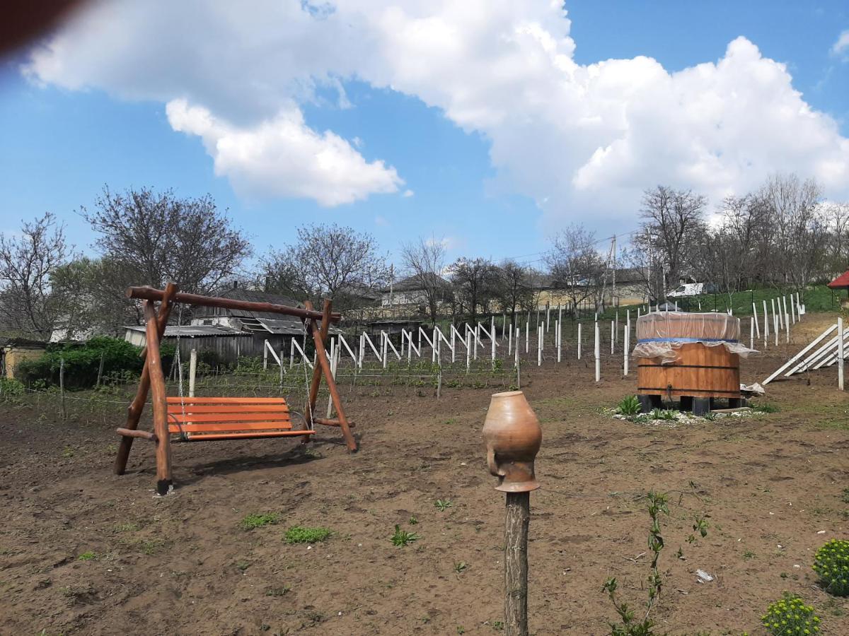 Suitetrails - Pensiunea turistica 