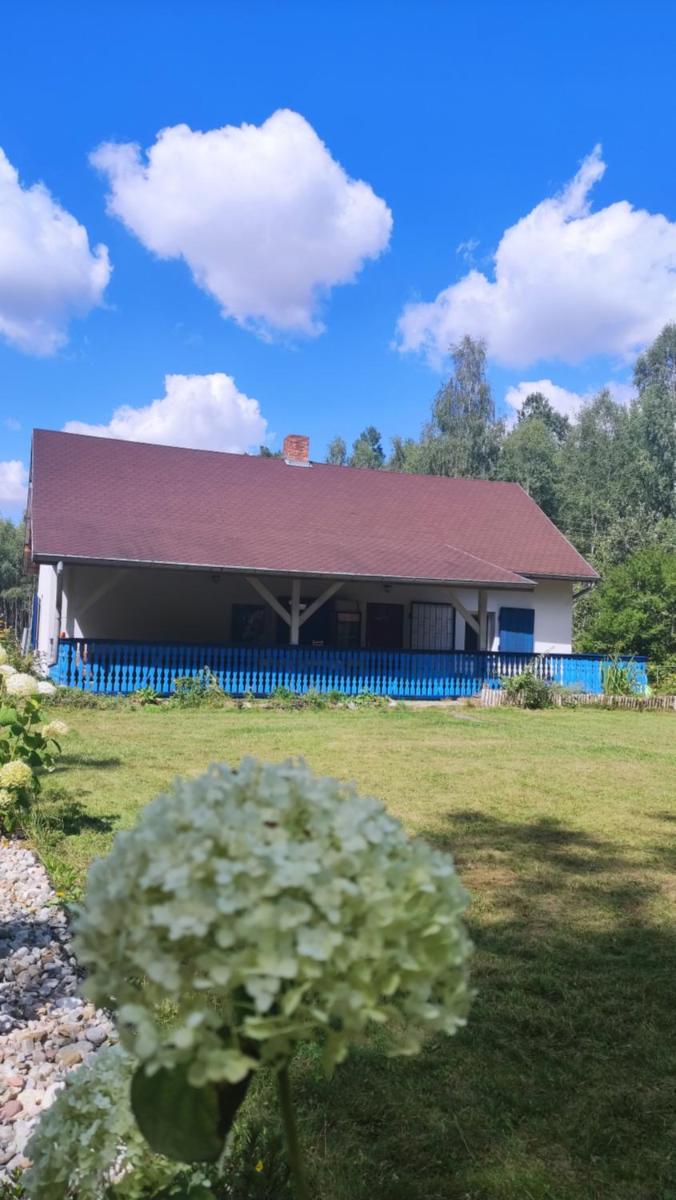 Leśna Chata - Housity