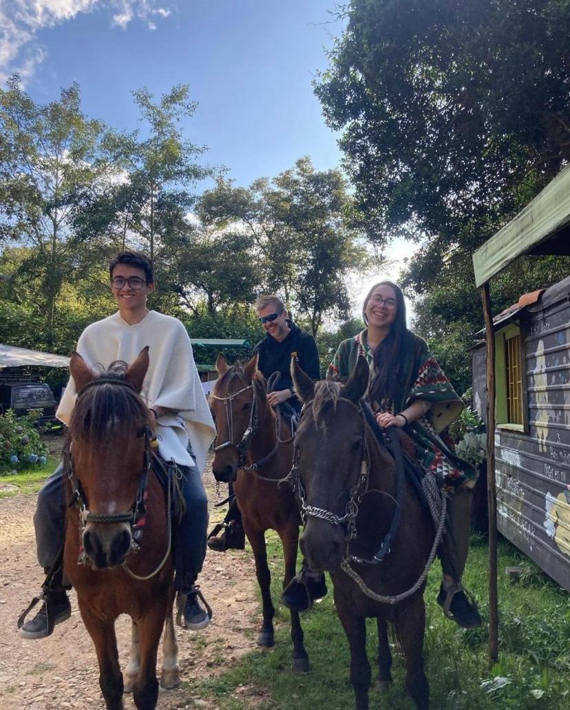 Palu Ecoaldea, Cabañas glamping en medio del bosque - Housity