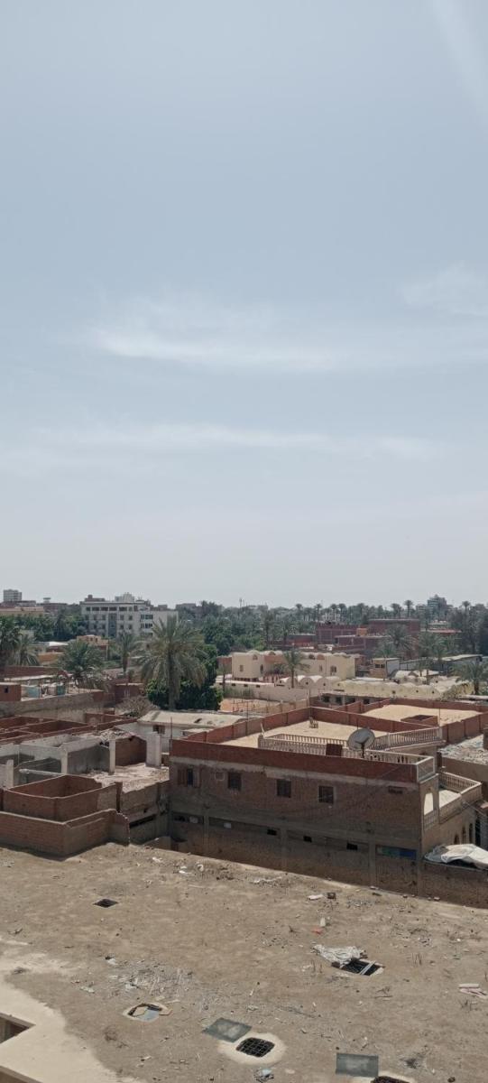 Sphinx Dream Nights Cairo - Housity