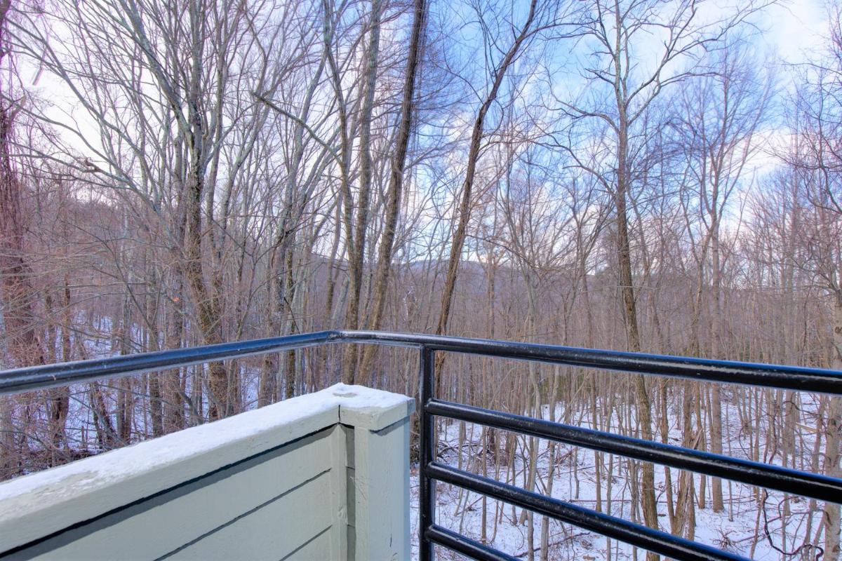 A Tennessee Joy, 1 Bedroom, Indoor Pool, WiFi, Fireplace, Sleeps 2 - Housity