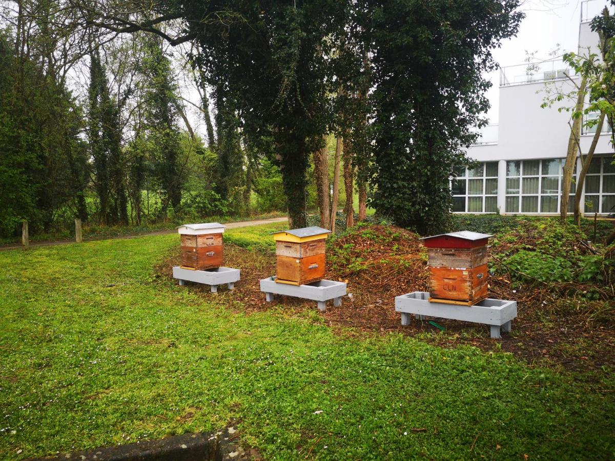 Jardin de l'établissement Novotel Senart Golf De Greenparc