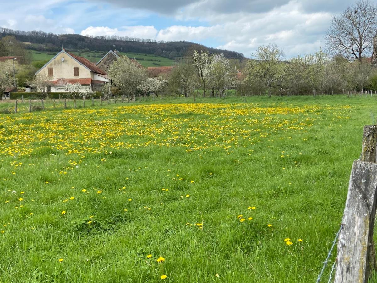 Ancienne ferme Bourguignonne en bord de rivière, grand terrain arboré, et clos - Housity