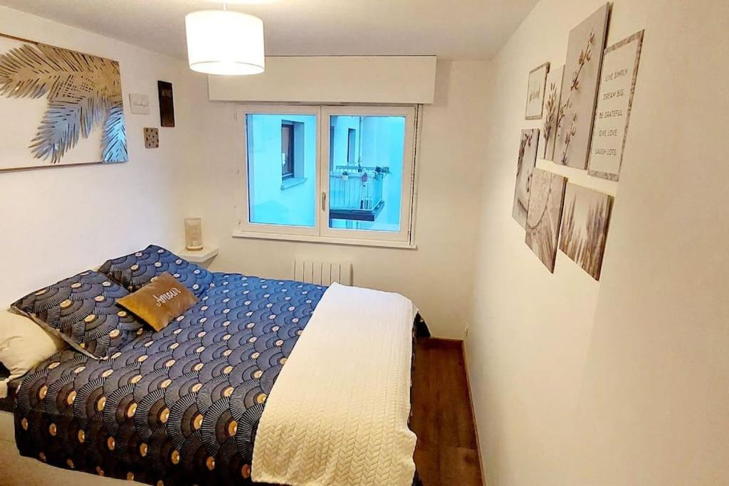 appartement cosy Strasbourg - Housity