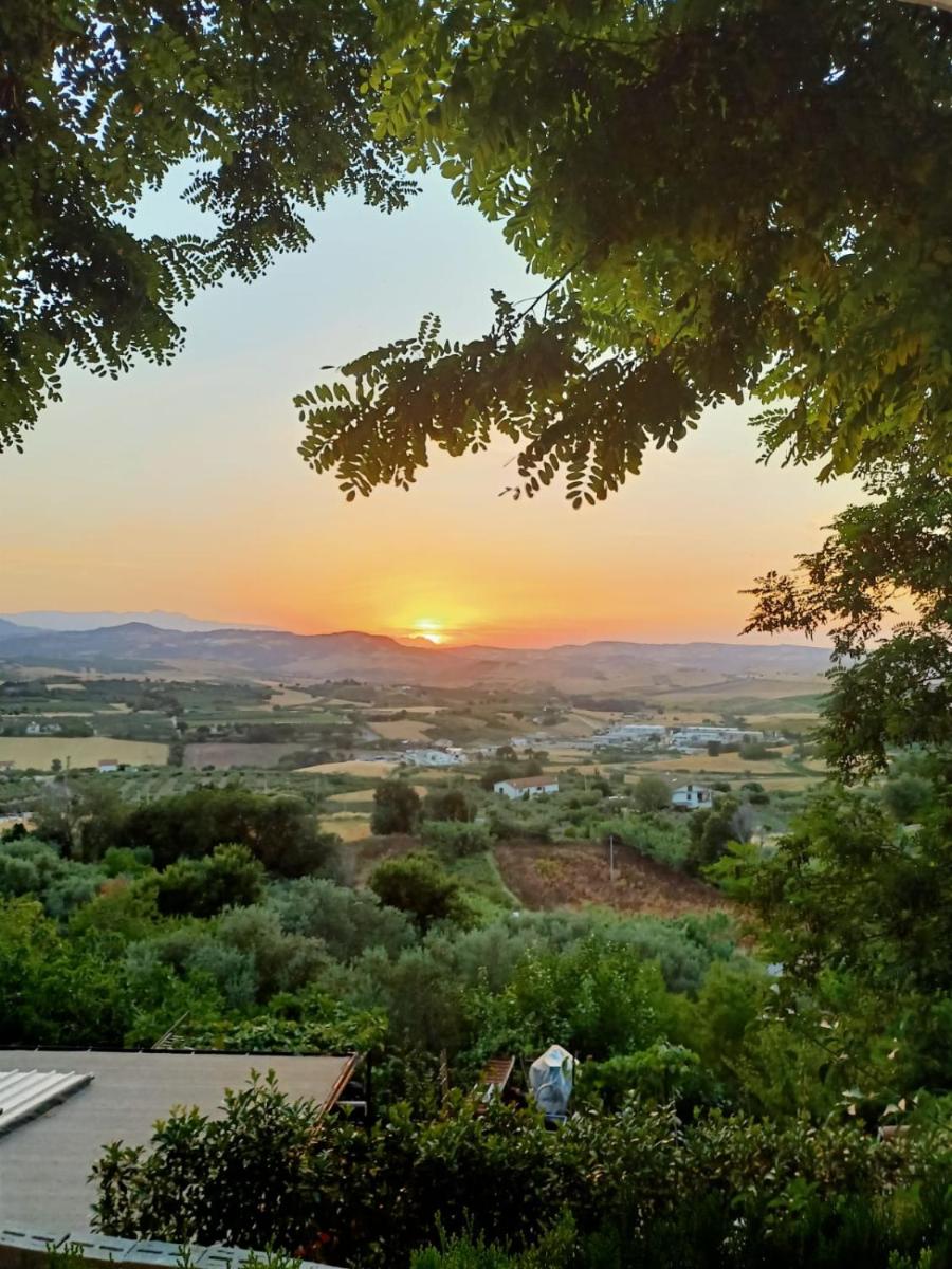 La casina di Alicia - Housity