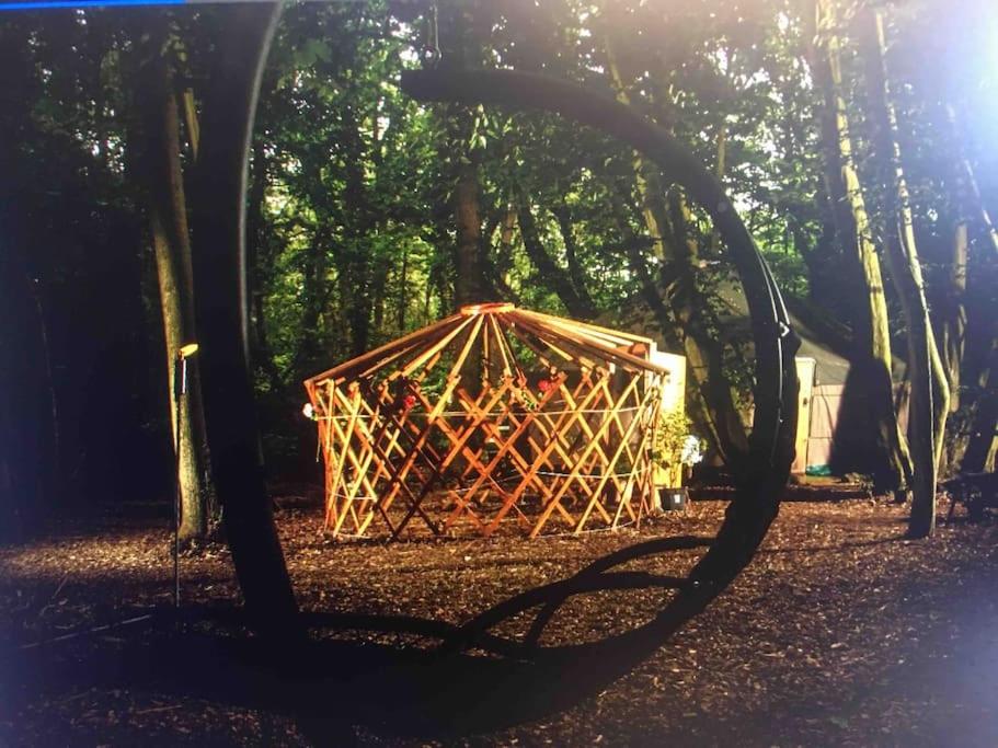 Magical Forest yurt - Housity