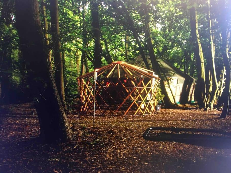 Magical Forest yurt - Housity