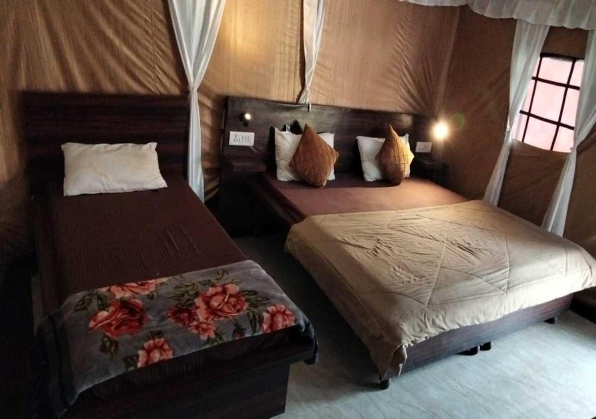 Astoria Camp & Resort - Housity