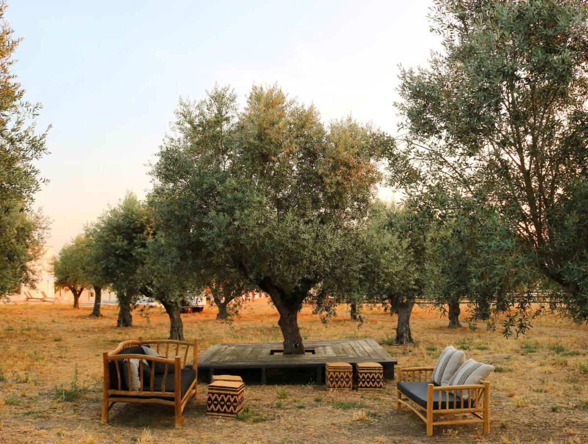 Um jardim no exterior de Torre de Palma Wine Hotel, Monforte, a Member of Design Hotels