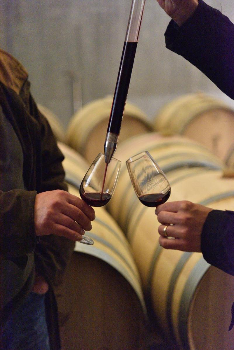 Bebidas em Torre de Palma Wine Hotel, Monforte, a Member of Design Hotels