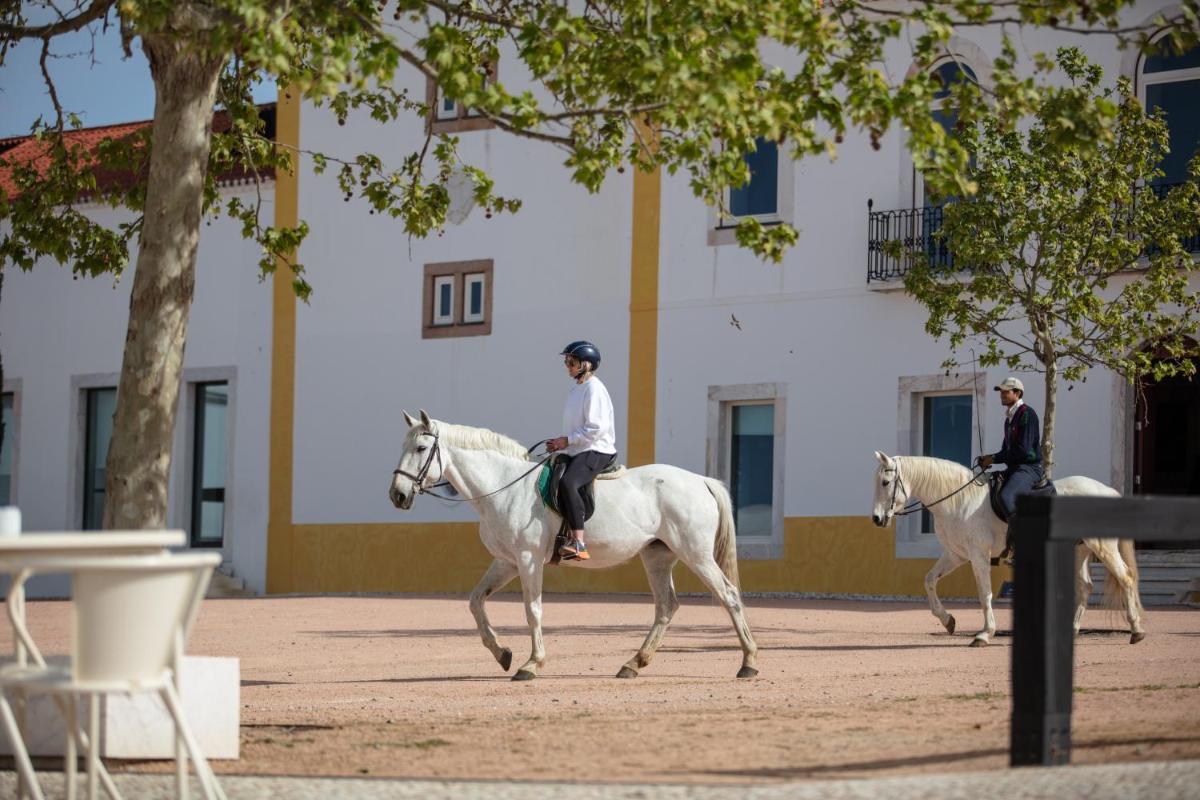 Animais no hotel ou nos arredores
