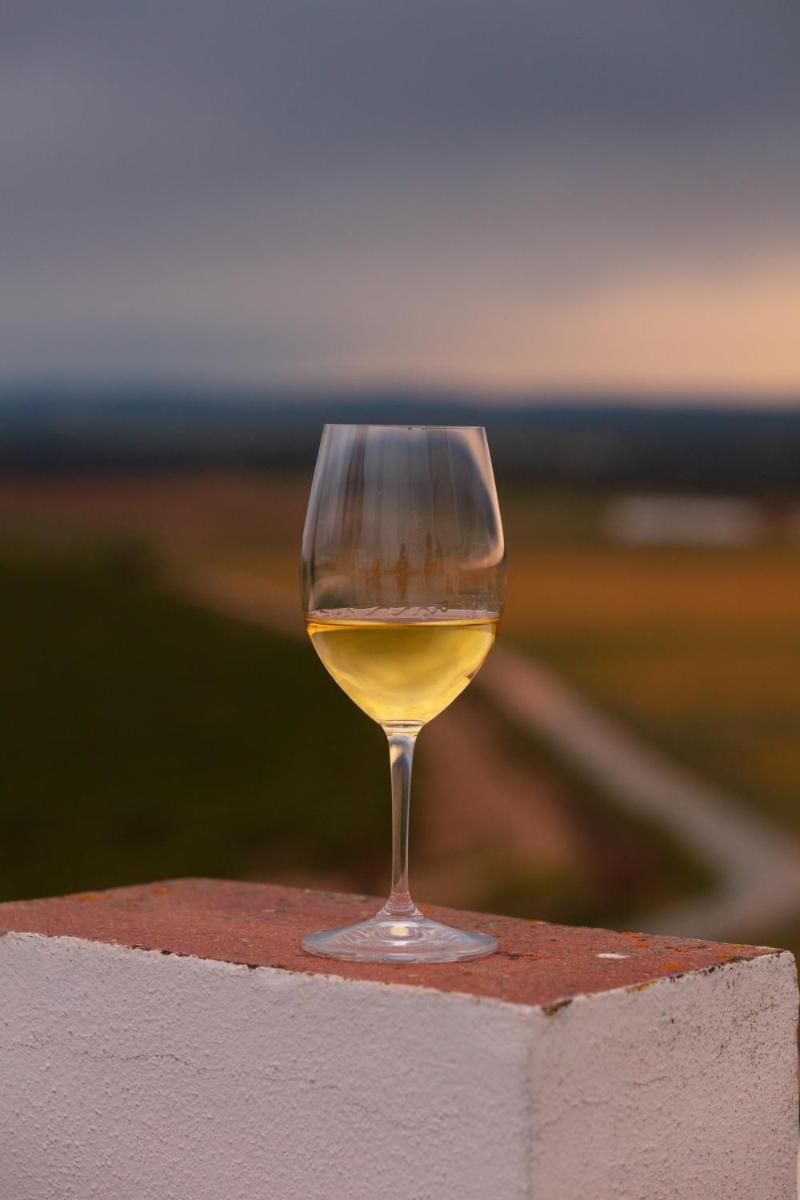 Bebidas em Torre de Palma Wine Hotel, Monforte, a Member of Design Hotels
