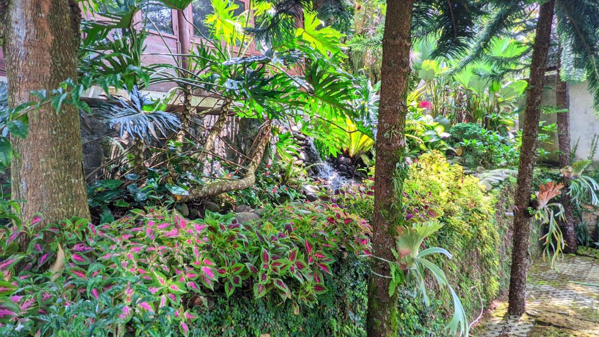 Villa Maharani Cipanas - Housity