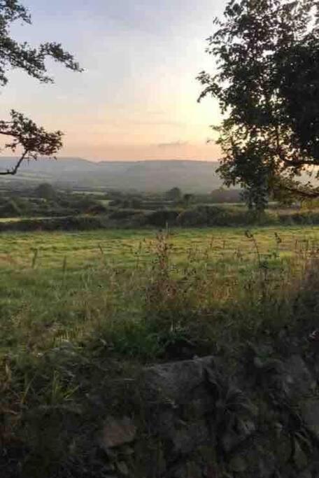 Shepherd's Hut Glamping Accommodation - Housity