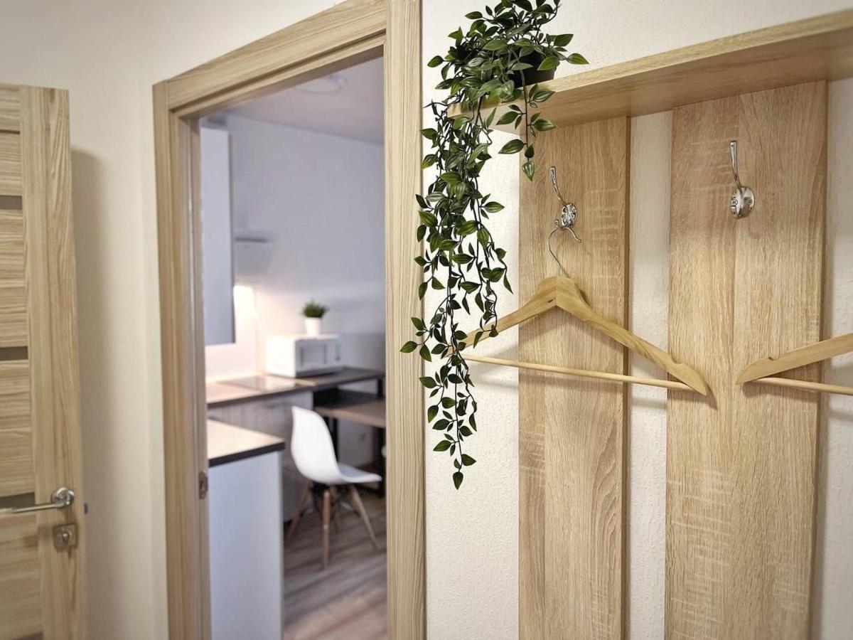 Studiia v tsentre goroda dlia vashego otdykha - Housity