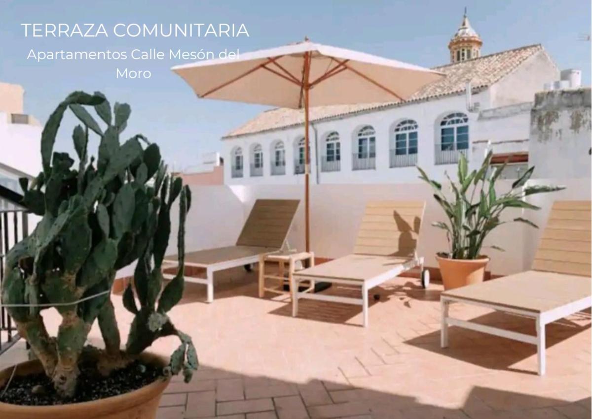 Boutike Apartments - Housity
