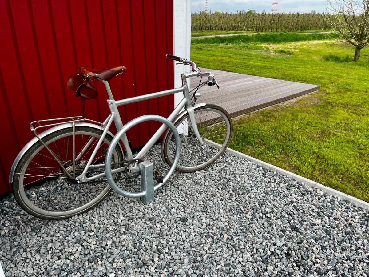 Muggelhuus das Loft mit Elbdeichblick im Alten Land und mit Wallbox - Housity