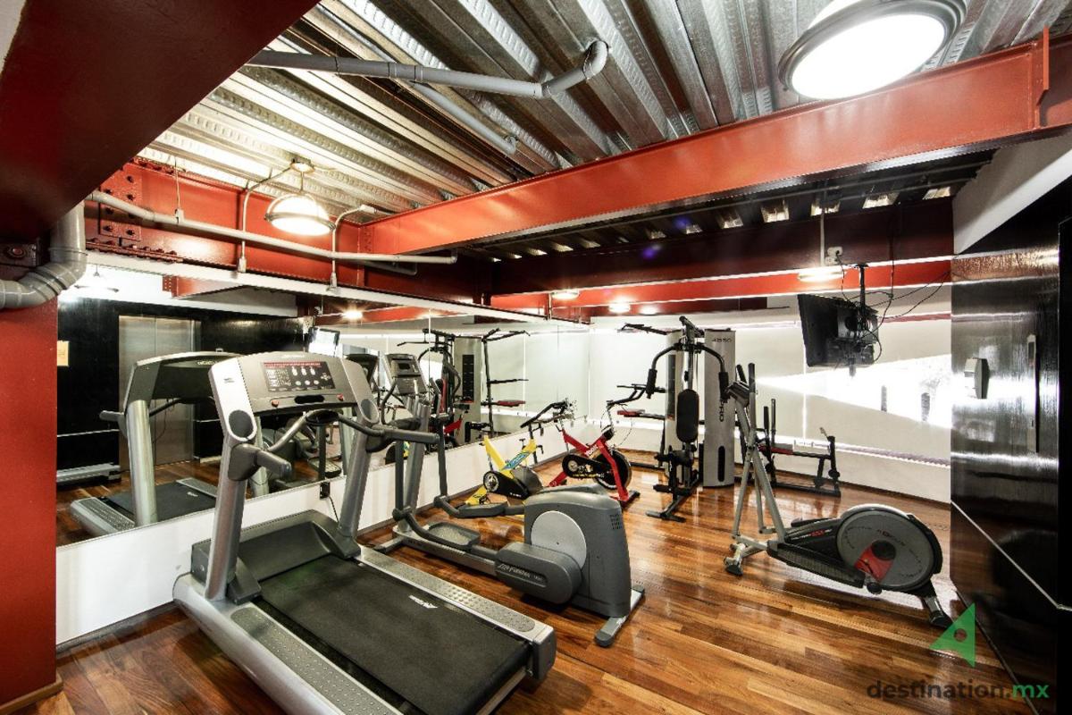 Cozy & Vibrant Loft with Rooftop & Gym in Polanco - Housity