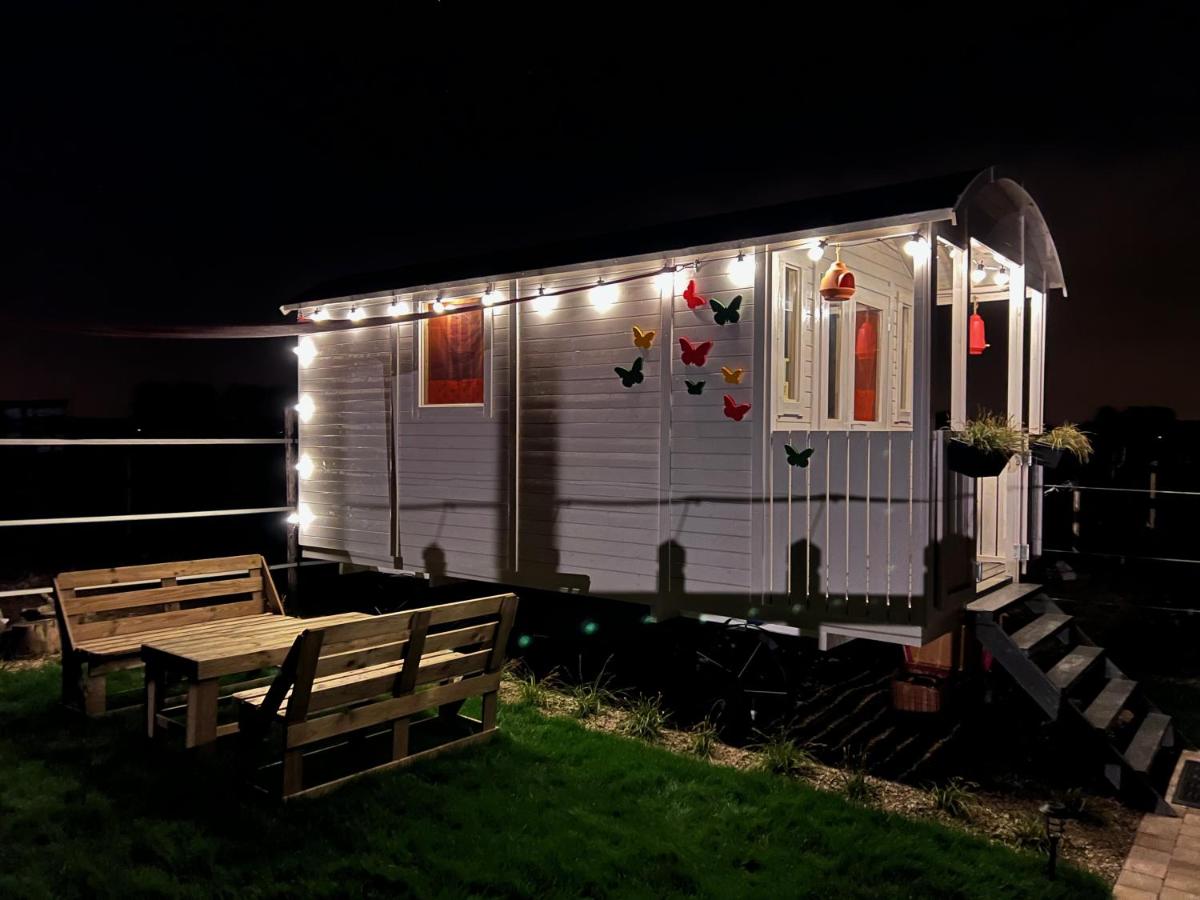 Ontwaken tussen de paarden - Housity