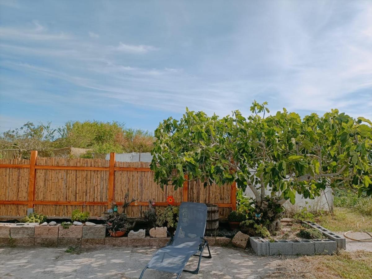 Casa vacanza Ligustro appartamento il gabbiano - Housity