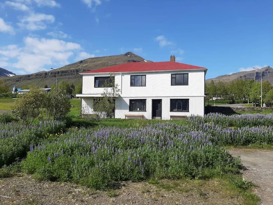 Upper floor apartment - Housity