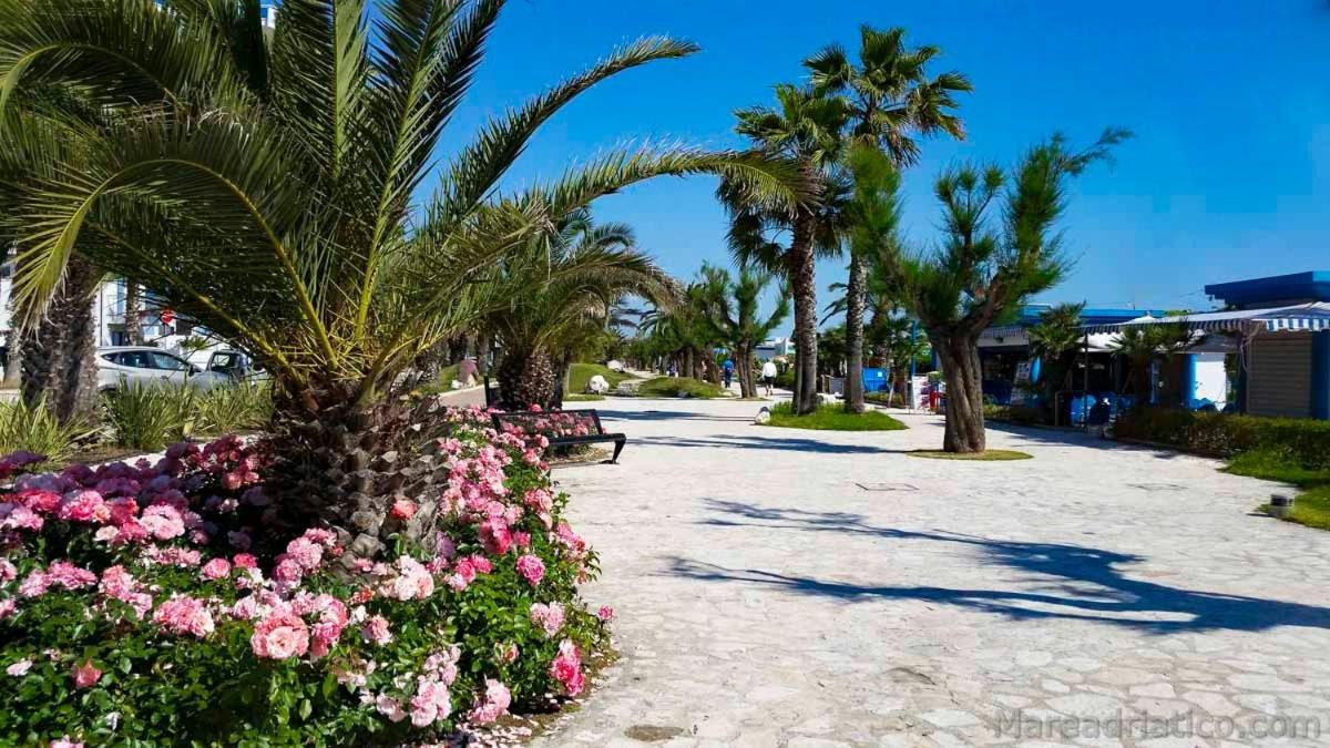 B&B al Fiume - Housity