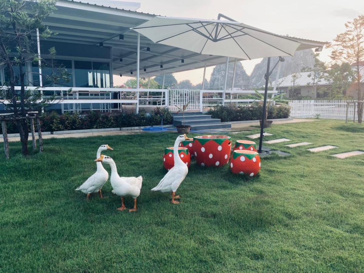 Rock Resort Ratchaburi - Housity