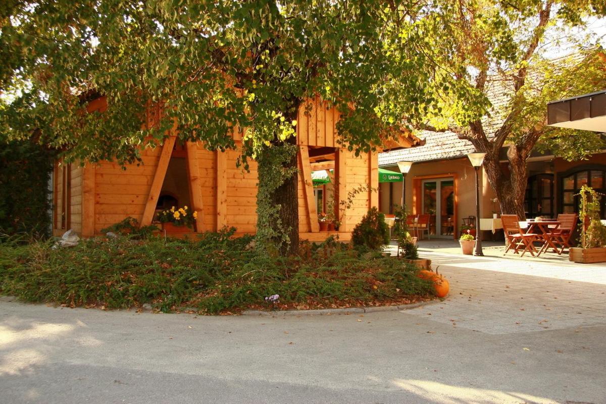 Gostilna Žolnir - Housity