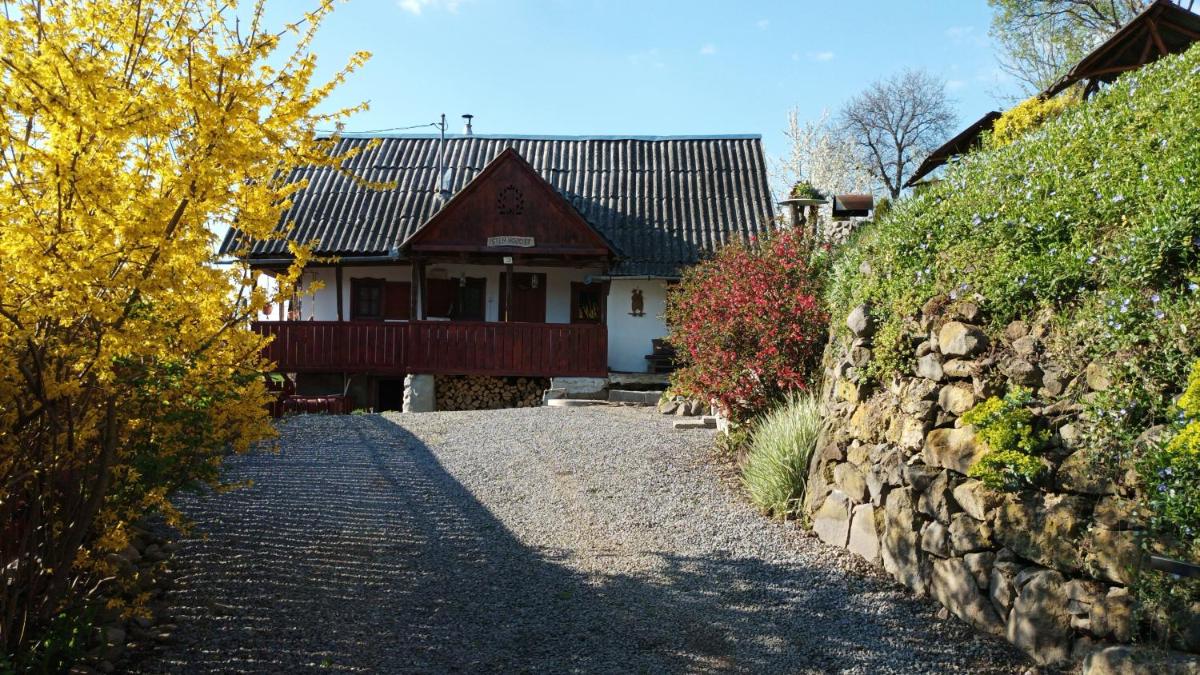 Meselak - Housity