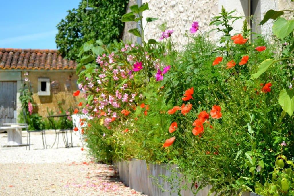 Grand gîte écologique à la campagne et accessible - Housity