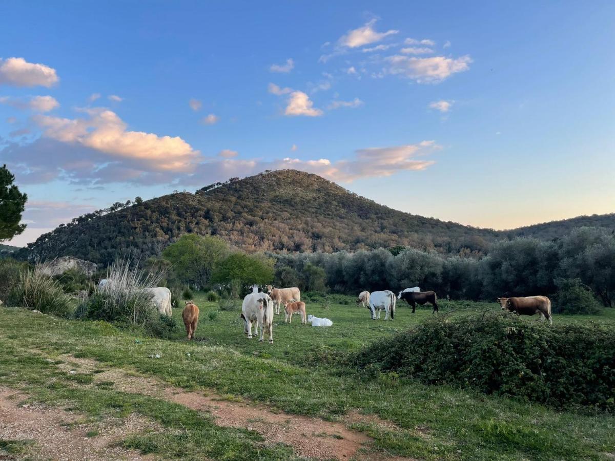 CASA ADELE 1 per una vacanza in semplicità e relax in prossimità di Sperlonga - Housity