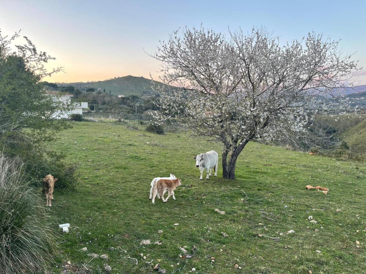 CASA ADELE 1 per una vacanza in semplicità e relax in prossimità di Sperlonga - Housity