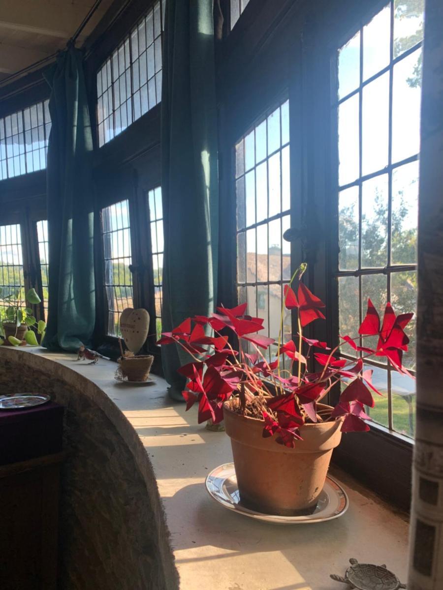 Bed and Breakfast à Rochefort-en-Terre - Housity