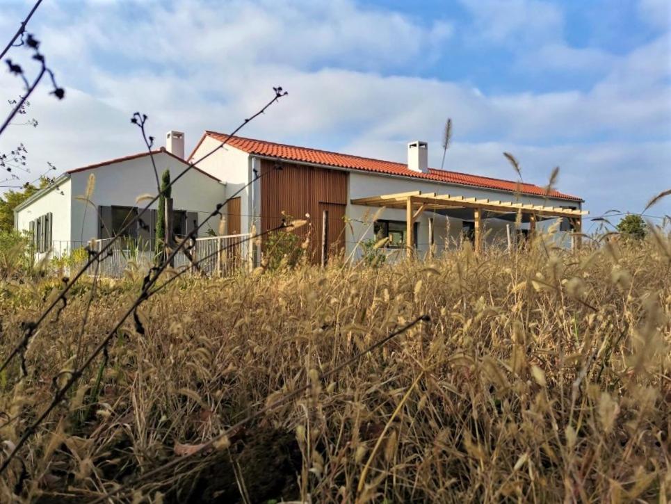 Two villas in lush countryside near Motovun - Housity