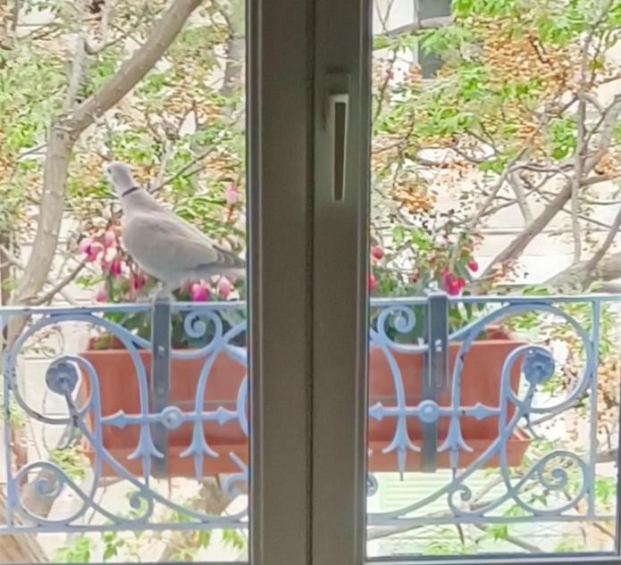 A deux pas d'Avignon - Housity