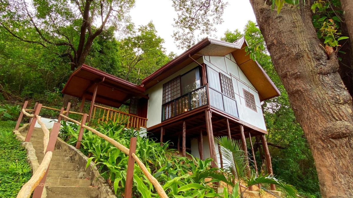 CED Garden - Housity