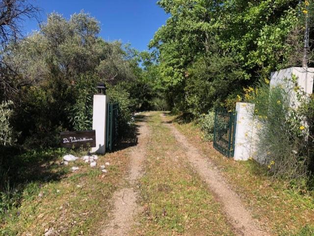 Kyparissia De Wandelboom - Housity