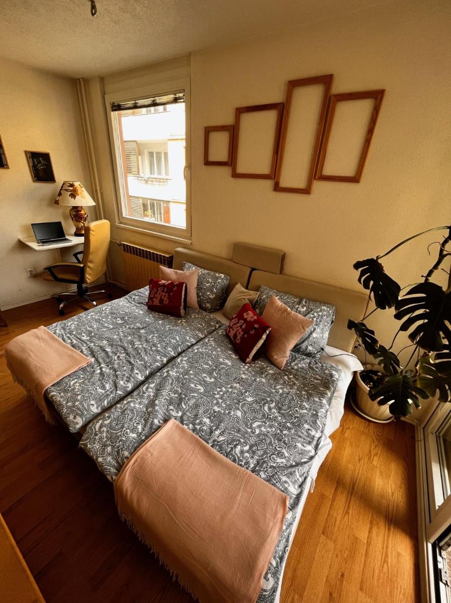 Suitetrails - Walter apartment