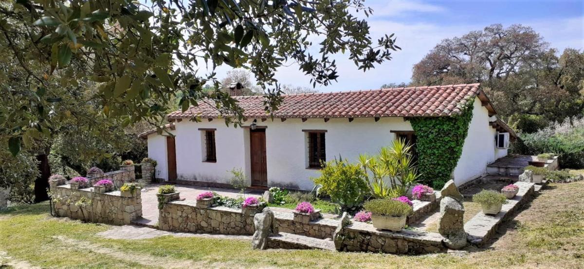 B&B I Menhir - Housity