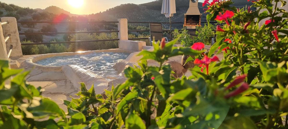 Mansion Alba - Housity